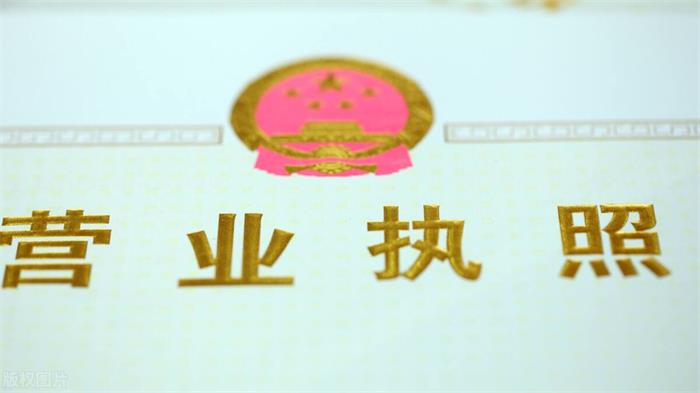 注册有限责任公司营业执照.jpg